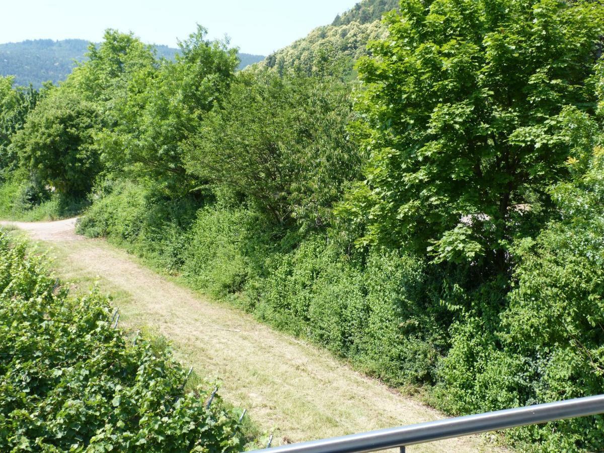 Ferienwohnung Gästehaus Moni Jäger Weyher Exterior foto