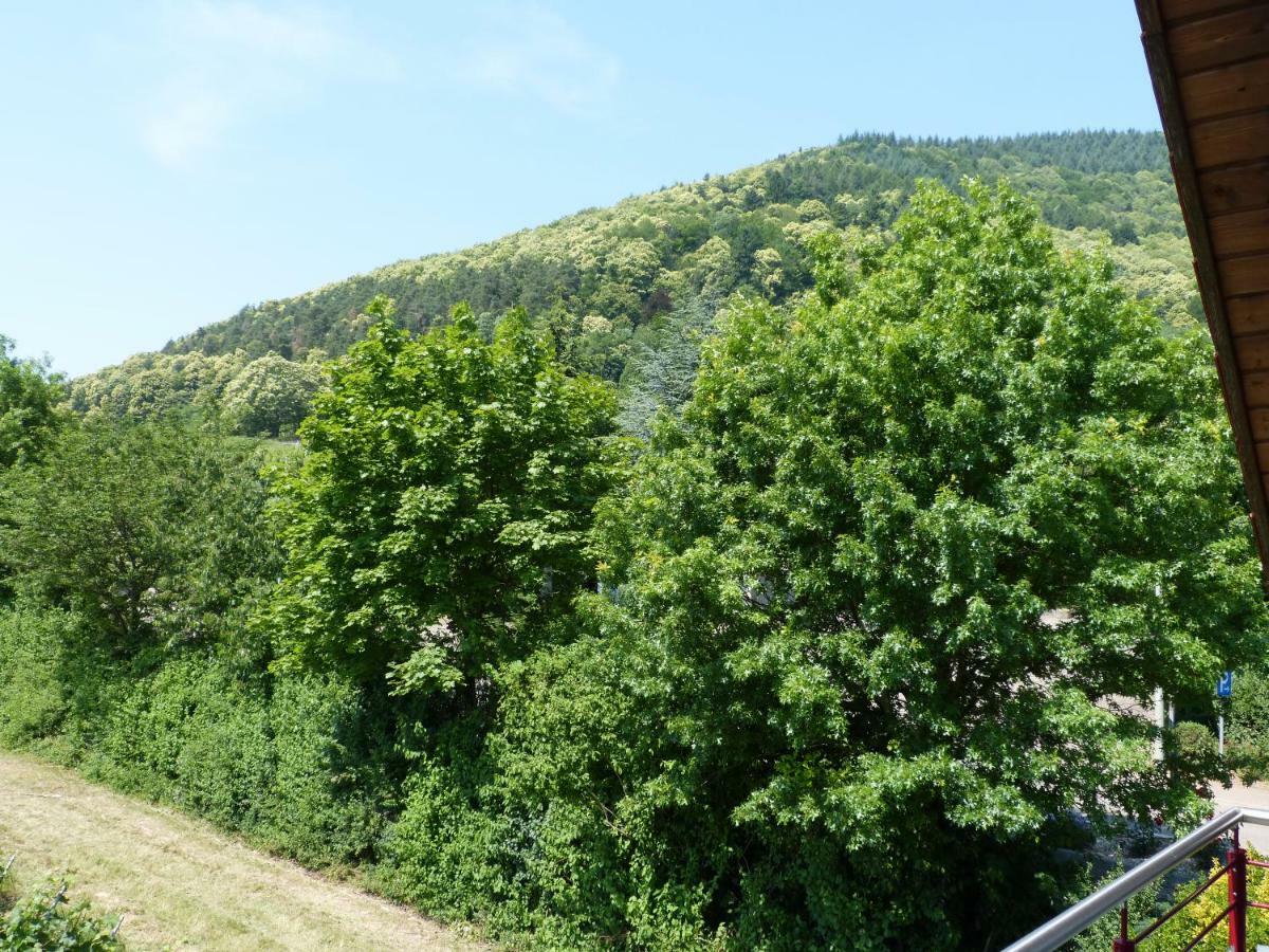 Ferienwohnung Gästehaus Moni Jäger Weyher Exterior foto